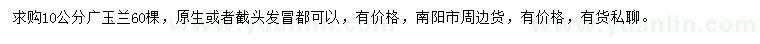 求購10公分廣玉蘭