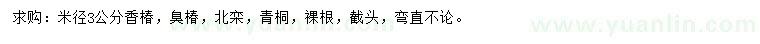 求購香椿、臭椿、北欒等