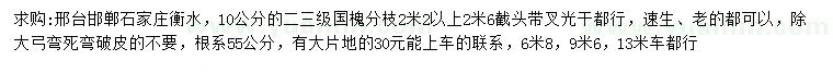 求購(gòu)10公分國(guó)槐