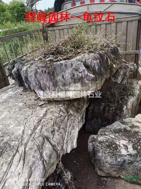 龜紋石-假山實(shí)例