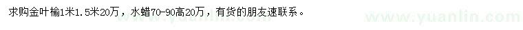 求購1、1.5米金葉榆、70-90公分水蠟