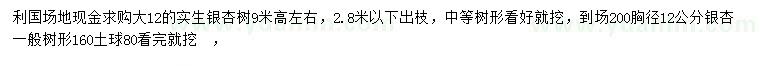 求購高9米左右銀杏