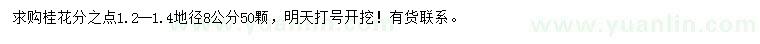 求購(gòu)地徑8公分桂花