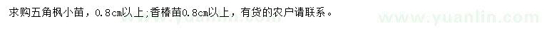 求購0.8公分以上五角楓、香椿