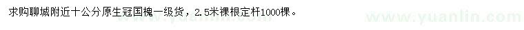 求購10公分國槐