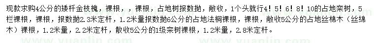 求購金枝槐、欒樹、法桐等
