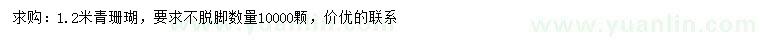 求購1.2米青珊瑚