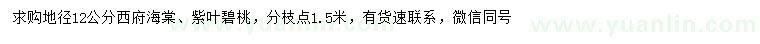 求購地徑12公分西府海棠、紫葉碧桃