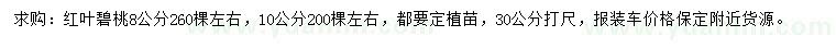 求購30量8、10公分紅葉碧桃