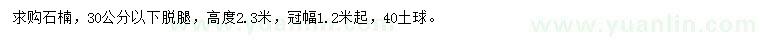 求購(gòu)高2.3米石楠