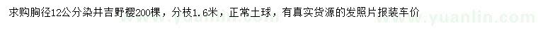 求購(gòu)胸徑12公分染井吉野櫻