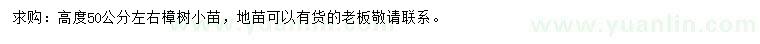 求購(gòu)高50公分左右樟樹(shù)