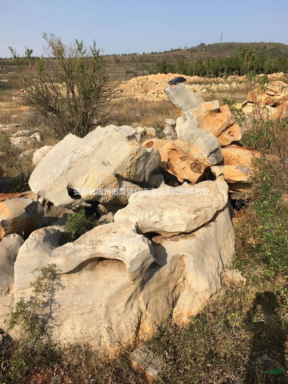 大小規(guī)格草坪石基地 找安徽金輝園林石業(yè)