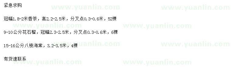 求購(gòu)香茶、花石榴、八棱海棠