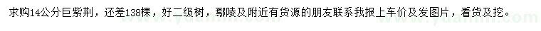 求購14公分巨紫荊