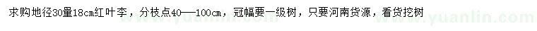 求購(gòu)30量18公分紅葉李