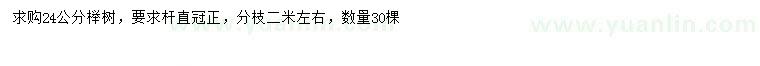 求購24公分櫸樹