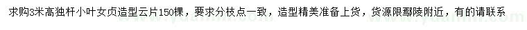求購高3米造型小葉女貞