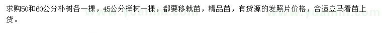 求購50、60公分樸樹、45公分櫸樹