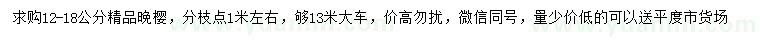 求購12-18公分晚櫻