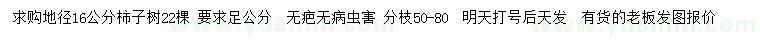 求購地徑16公分柿子樹