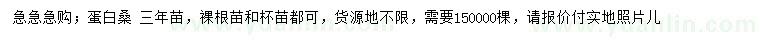 求購3年生蛋白桑
