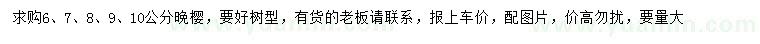 求購(gòu)6、7、8、9、10公分晚櫻