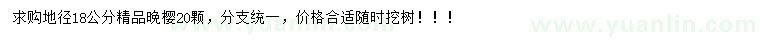 求購地徑18公分晚櫻