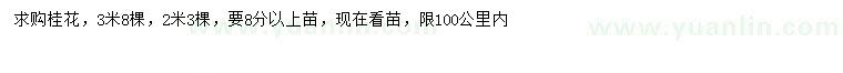 求購2、3米桂花