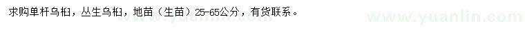 求購25-65公分烏桕、叢生烏桕