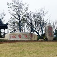 浙江風(fēng)景石基地  刻字石桐廬石原石