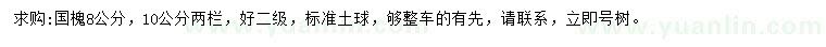 求購8公分國槐