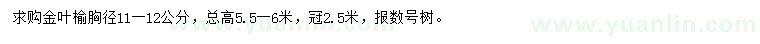 求購(gòu)胸徑11-12公分金葉榆