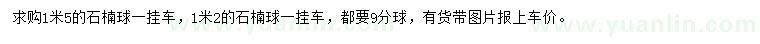 求購1.2、1.5米石楠球