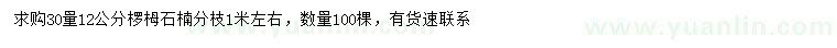 求購30量12公分欏木石楠