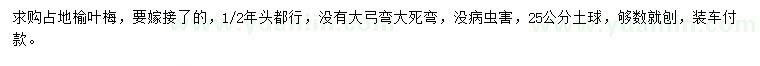 求購榆葉梅