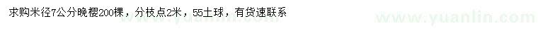 求購米徑7公分晚櫻