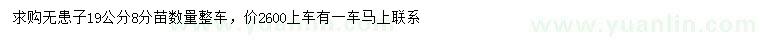 求購19公分無患子
