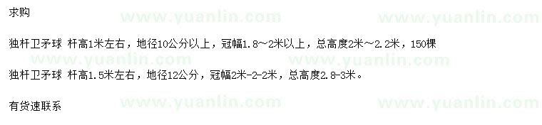 求購冠幅1.8-2、2-2.2米衛(wèi)矛球