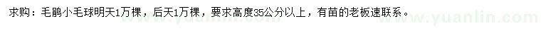 求購高35公分以上毛鵑球