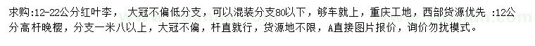 求購12-22公分紅葉李、12公分晚櫻