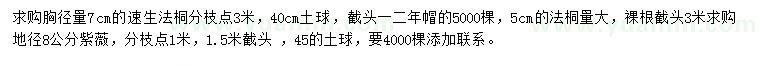 求購(gòu)速生法桐、法桐、紫薇