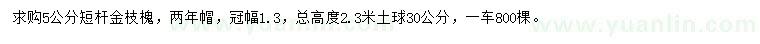 求購5公分金枝槐