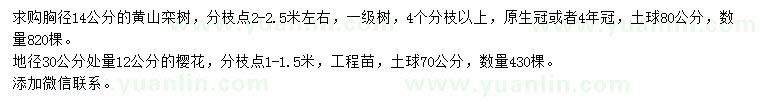 求購胸徑14公分黃山欒樹、30量12公分櫻花