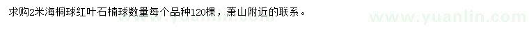 求購(gòu)2米海桐球、紅葉石楠球