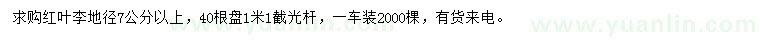 求購地徑7公分以上紅葉李