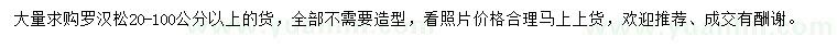 求購20-100公分以上羅漢松