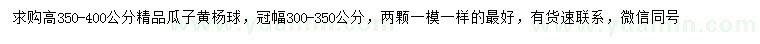 求購冠幅300-350公分瓜子黃楊球