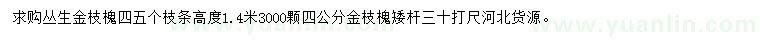 求購叢生金枝槐、4公分金枝槐