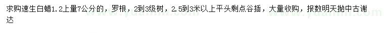 求購胸徑7公分速生白蠟